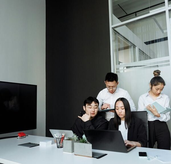 SEO Business Solutions 911233411 Digital