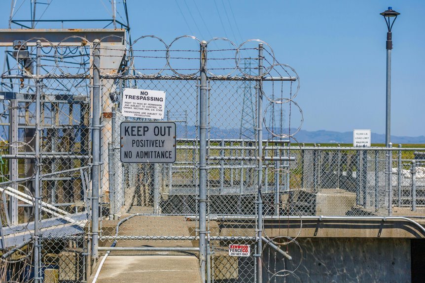 trusted website authority building